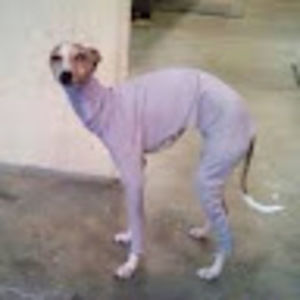 Meet your Posher, Ekaterina